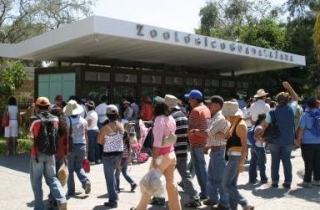 Entrada taquillas